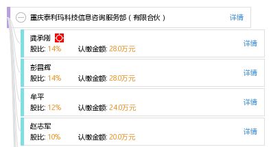 立足專業(yè)，服務(wù)未來 重慶泰利瑪科技信息咨詢服務(wù)部的信息技術(shù)咨詢服務(wù)